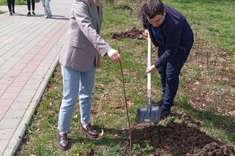 Акция «Сад памяти»