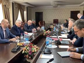 Встреча с Сопредседателями Международных Женевских дискуссий