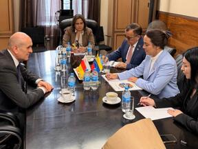 Югоосетино-венесуэльские межмидовские консультации